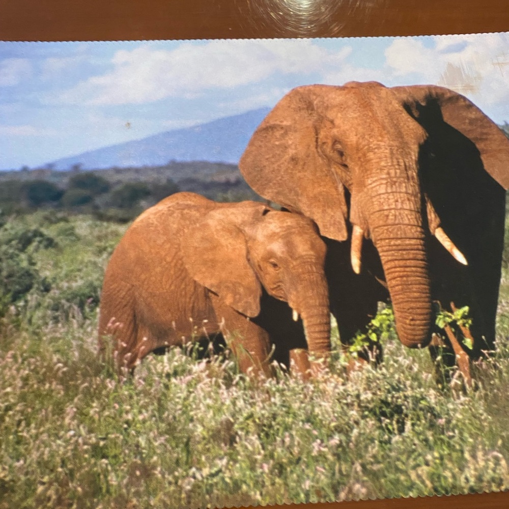Placemats